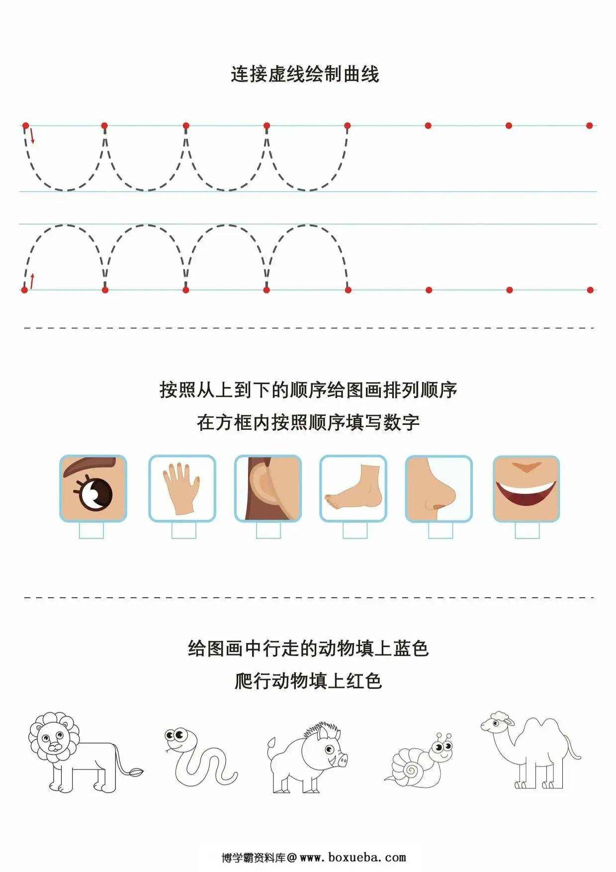 图片[3]-专注力综合练习1，14页PDF电子版-淘学学资料库