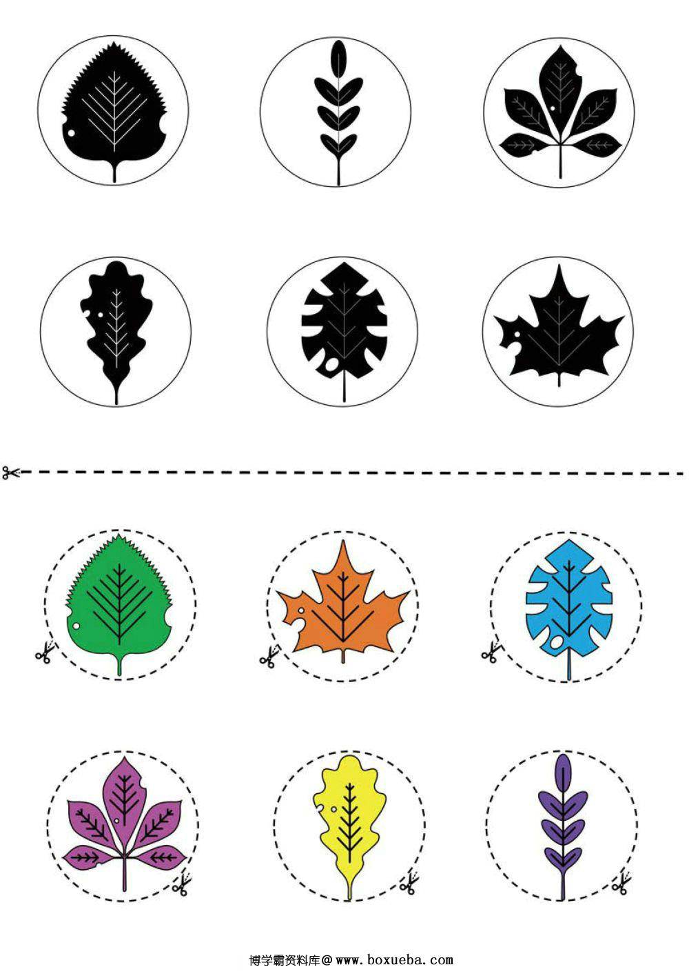 图片[2]-按照剪影的轮廓拼贴图画-淘学学资料库