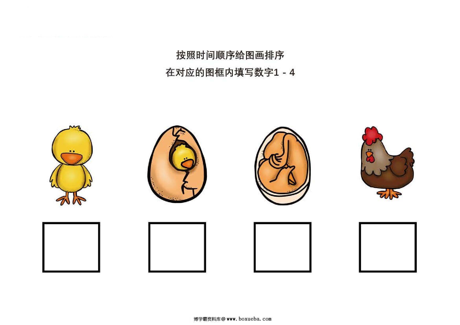 按照时间顺序给图画排序，8页PDF-博学霸资料网