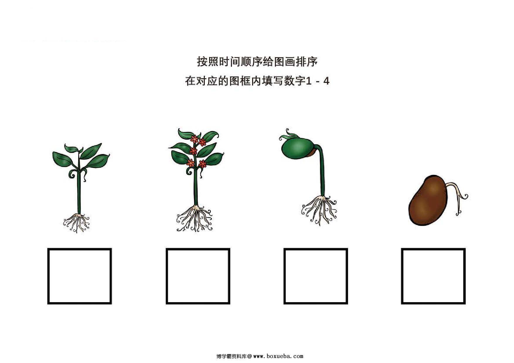 图片[3]-按照时间顺序给图画排序，8页PDF-淘学学资料库