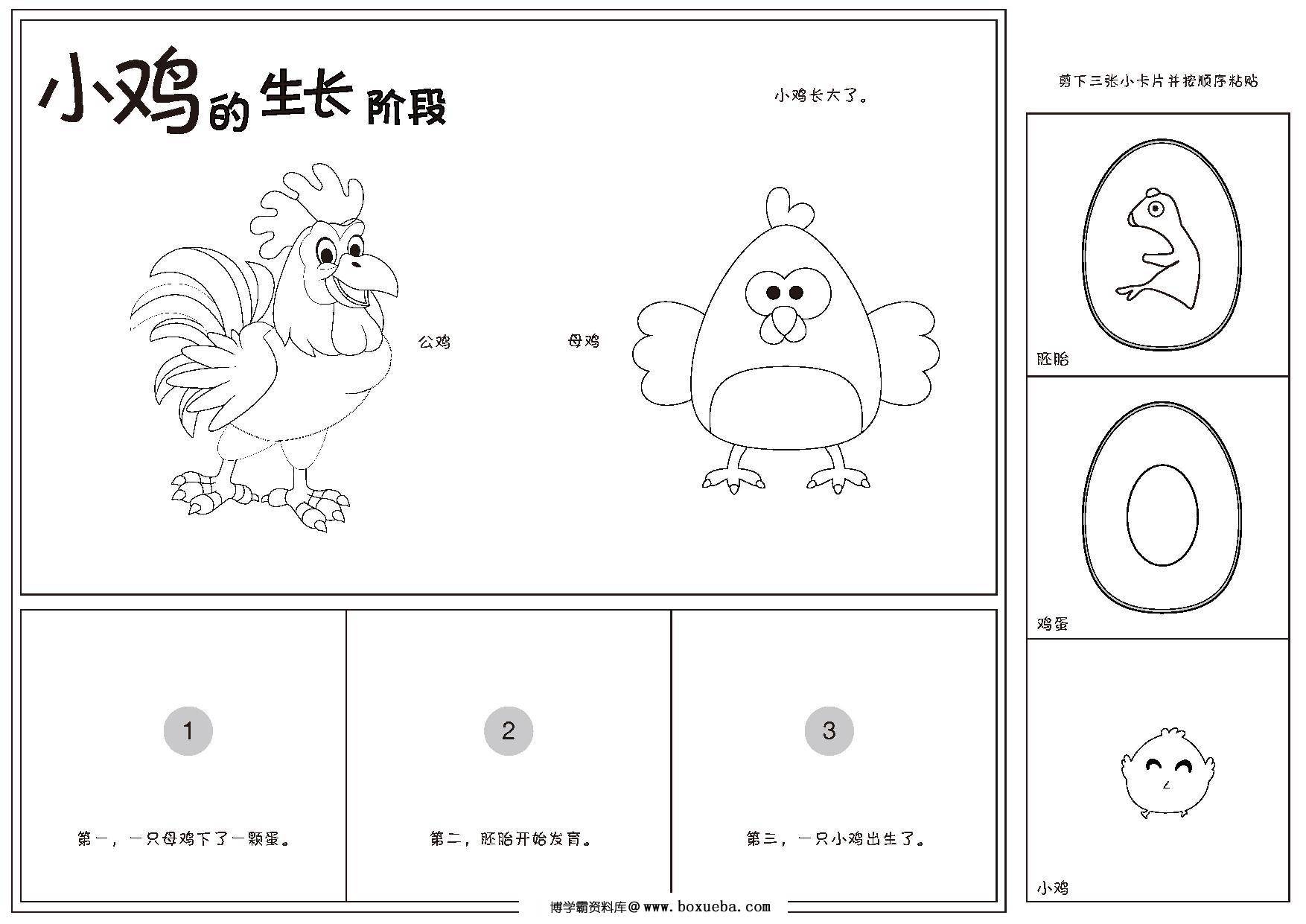 图片[2]-排序小书，26页pdf电子版-淘学学资料库