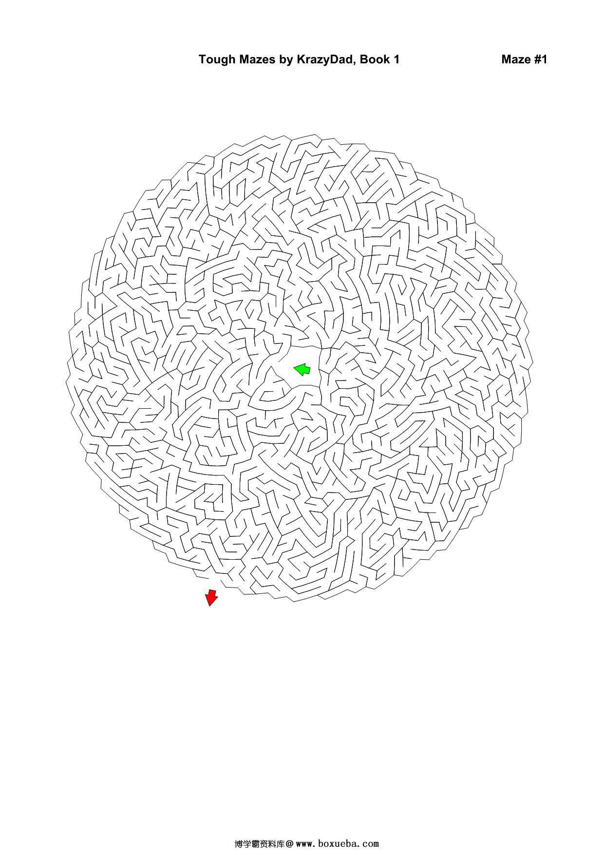 Tough Mazes (Ages 9-12+)，1000页PDF-博学霸资料网