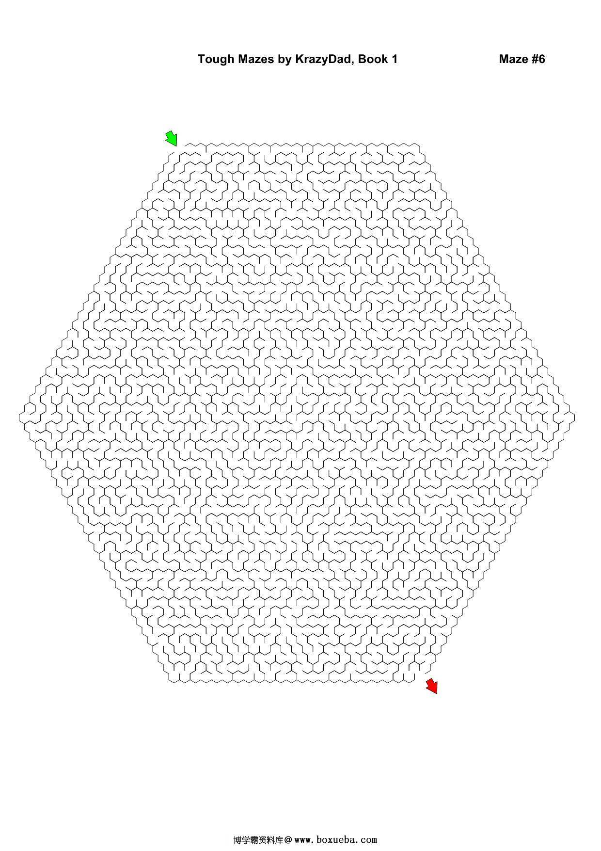 图片[2]-Tough Mazes (Ages 9-12+)，1000页PDF-淘学学资料库