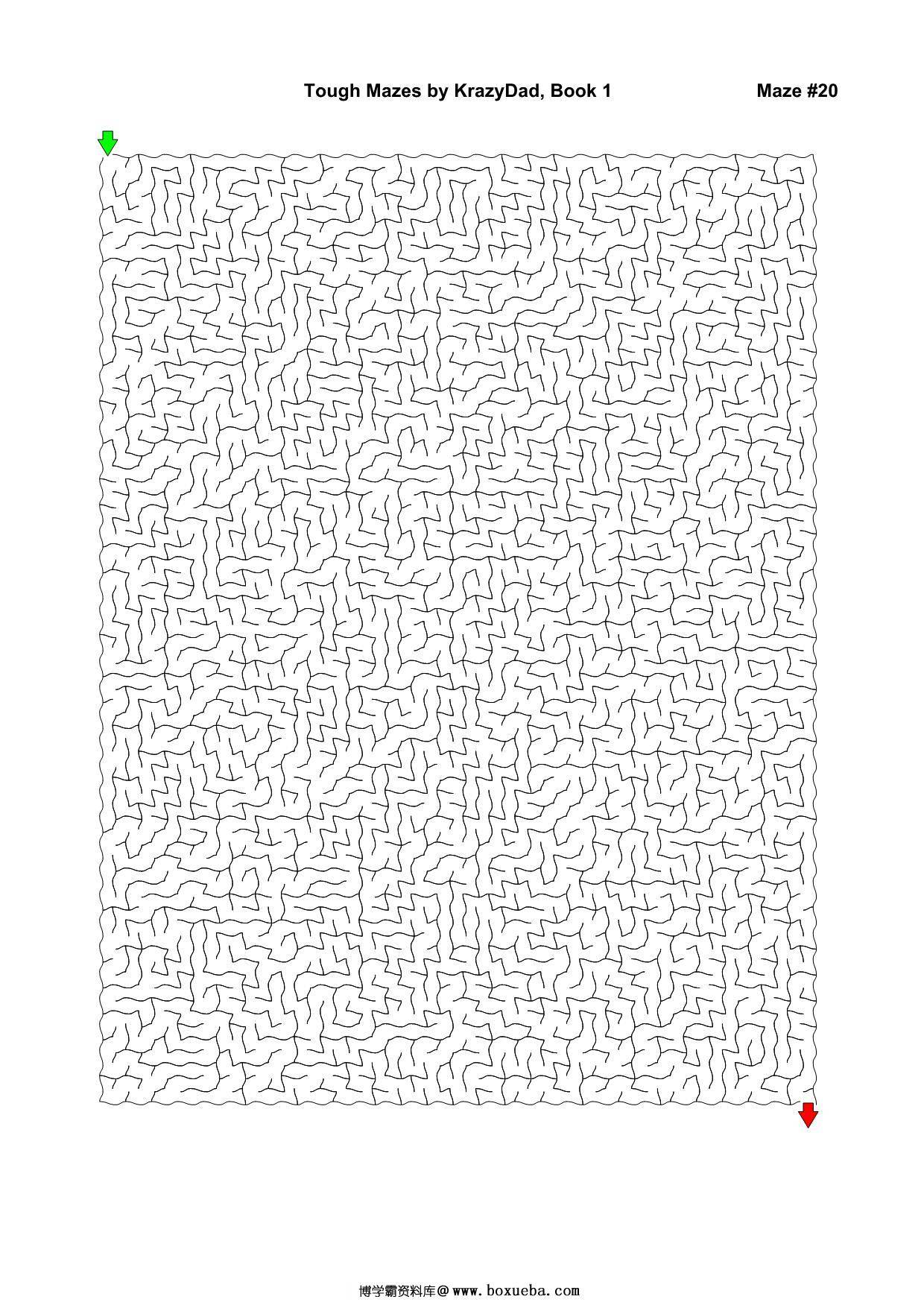 图片[3]-Tough Mazes (Ages 9-12+)，1000页PDF-淘学学资料库