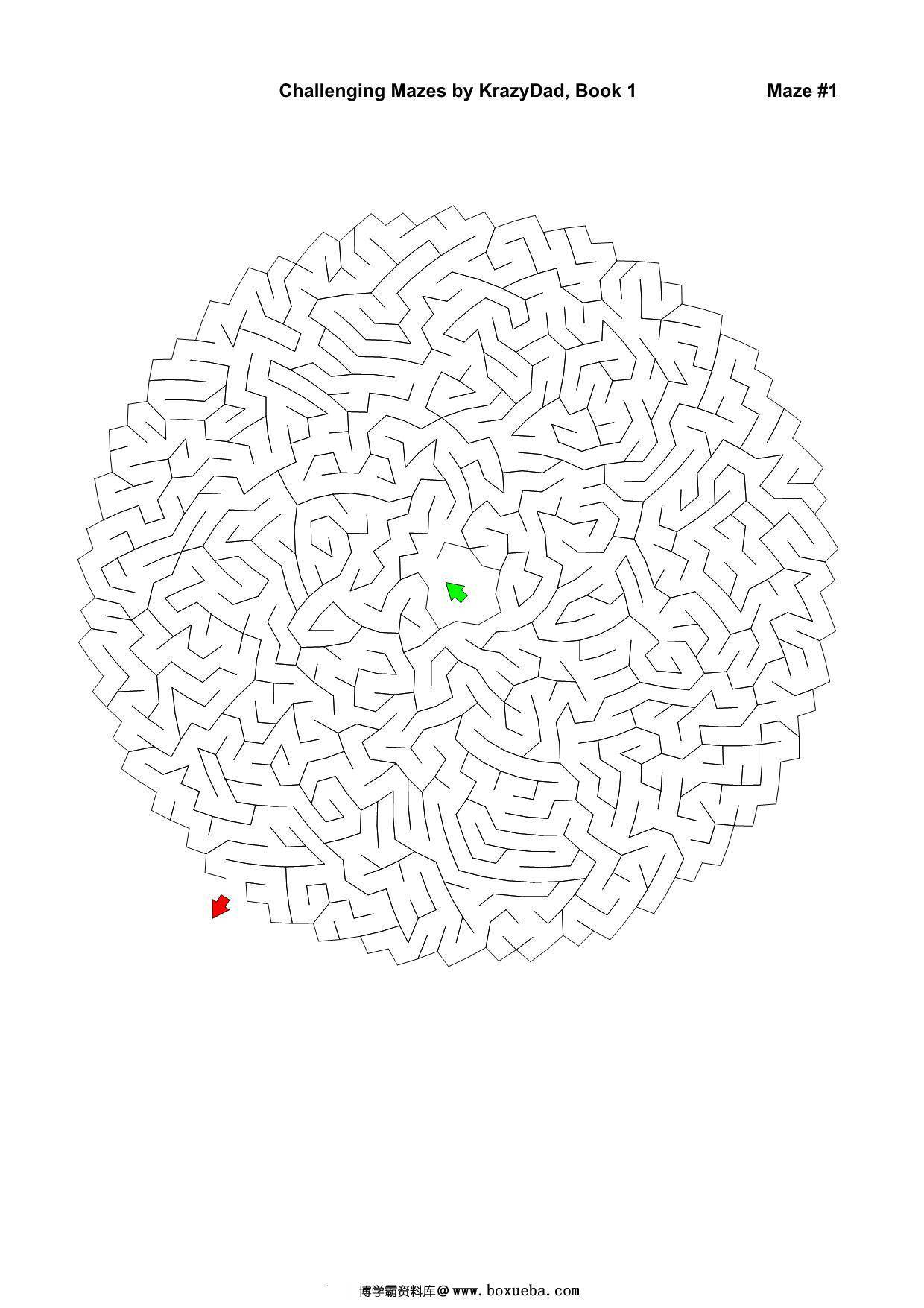 Challenging Mazes (Ages 7-9)，1000页PDF-博学霸资料网
