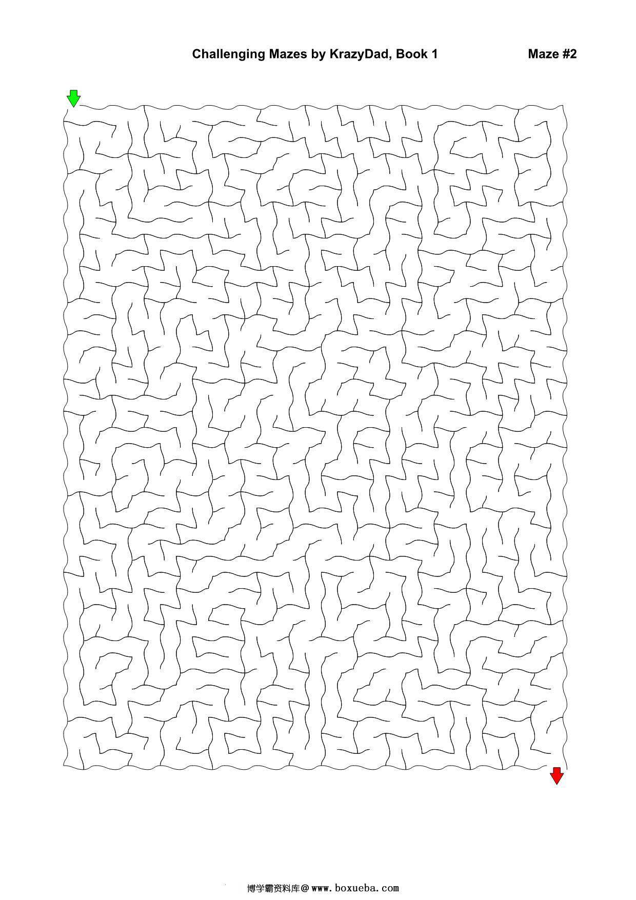 图片[2]-Challenging Mazes (Ages 7-9)，1000页PDF-淘学学资料库