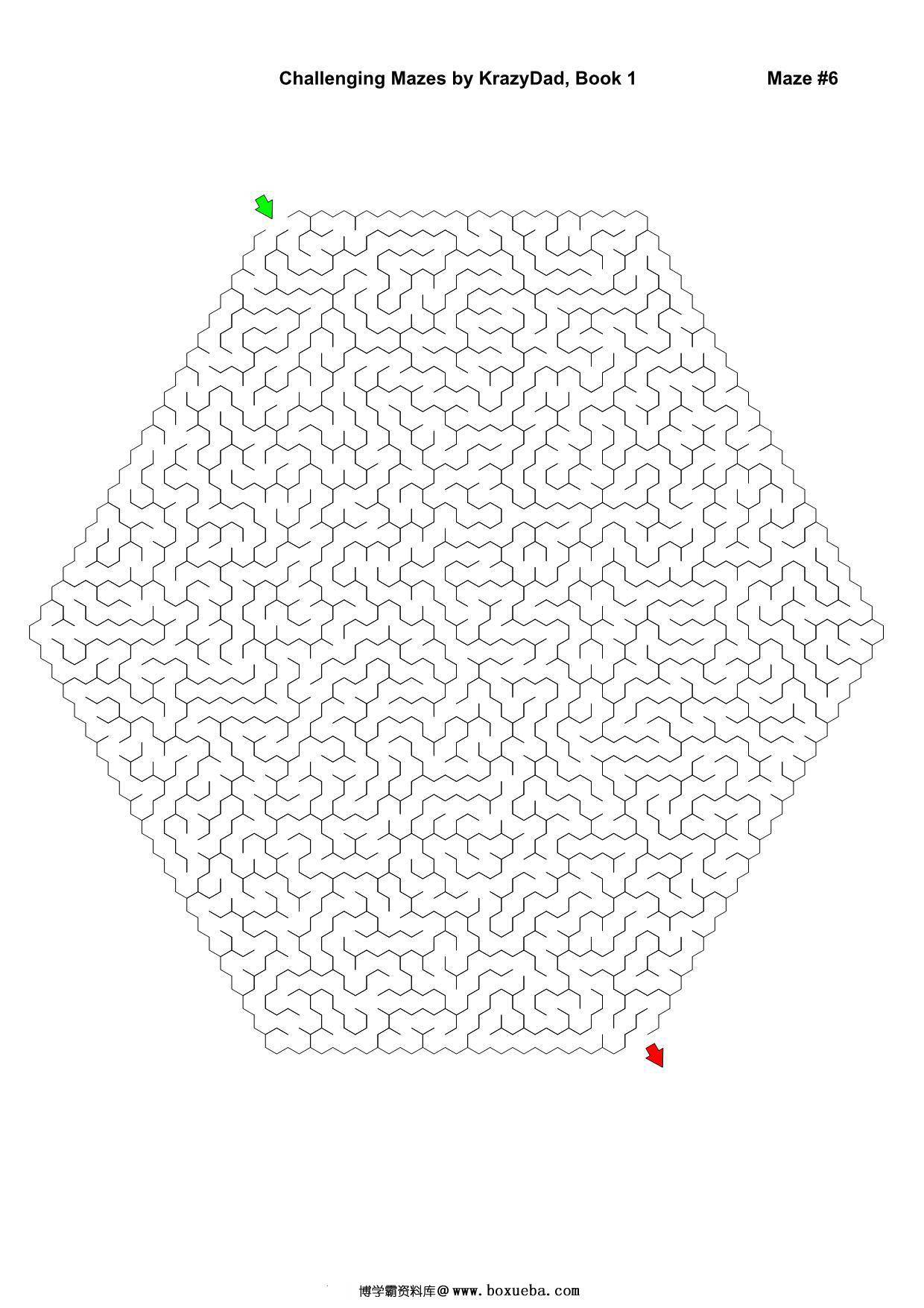 图片[3]-Challenging Mazes (Ages 7-9)，1000页PDF-淘学学资料库