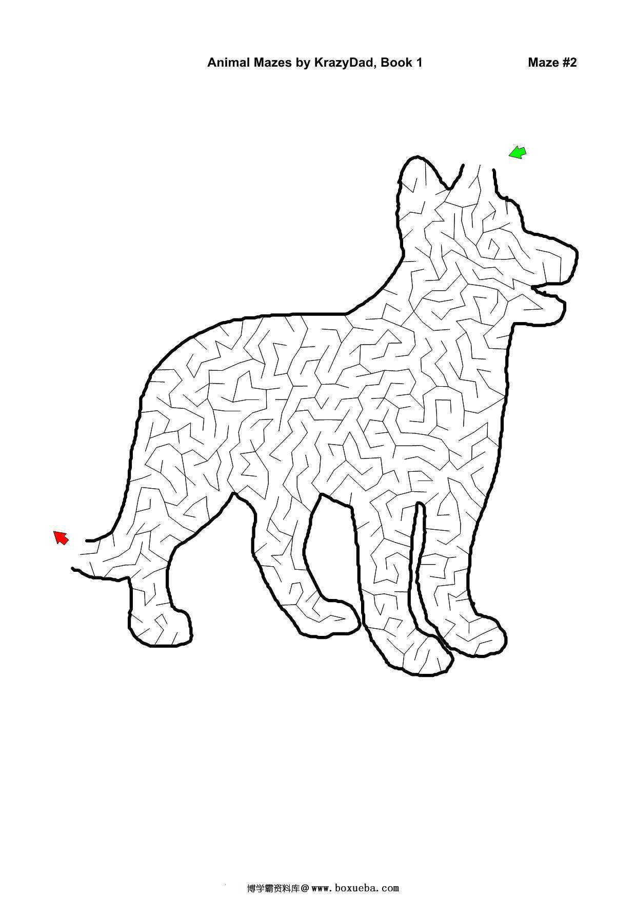 Assorted Animal Mazes Easy-Tough (Ages 4-12+)，1000页PDF-博学霸资料网