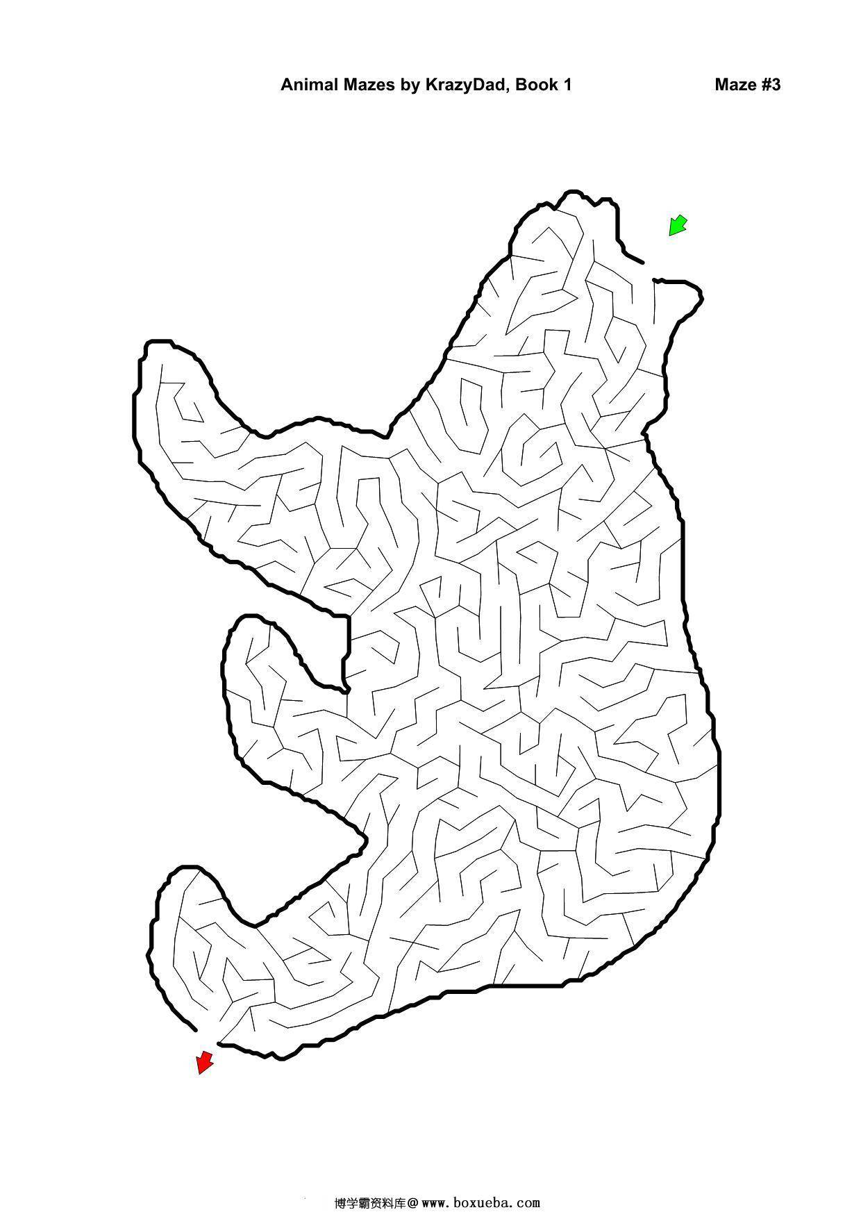 图片[2]-Assorted Animal Mazes Easy-Tough (Ages 4-12+)，1000页PDF-淘学学资料库