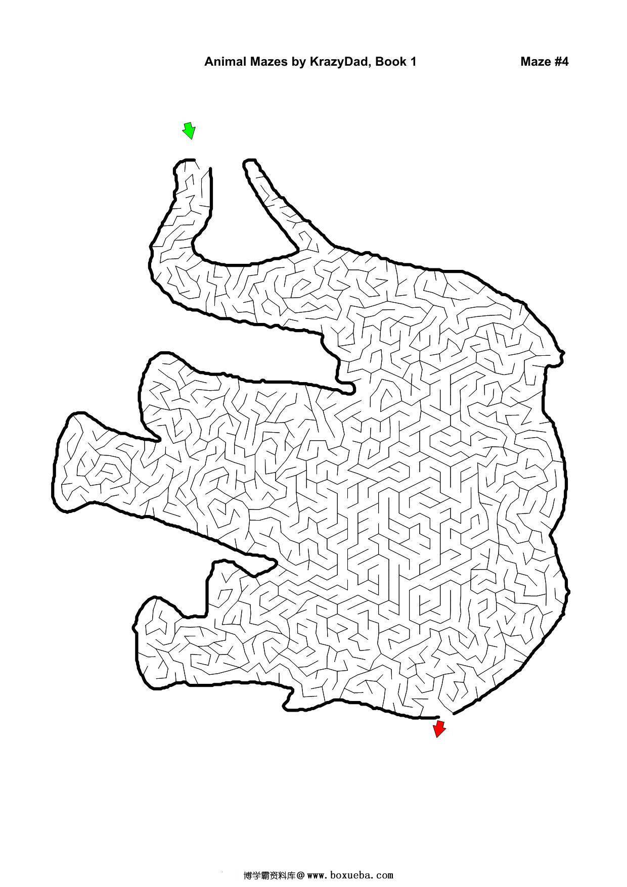 图片[3]-Assorted Animal Mazes Easy-Tough (Ages 4-12+)，1000页PDF-淘学学资料库