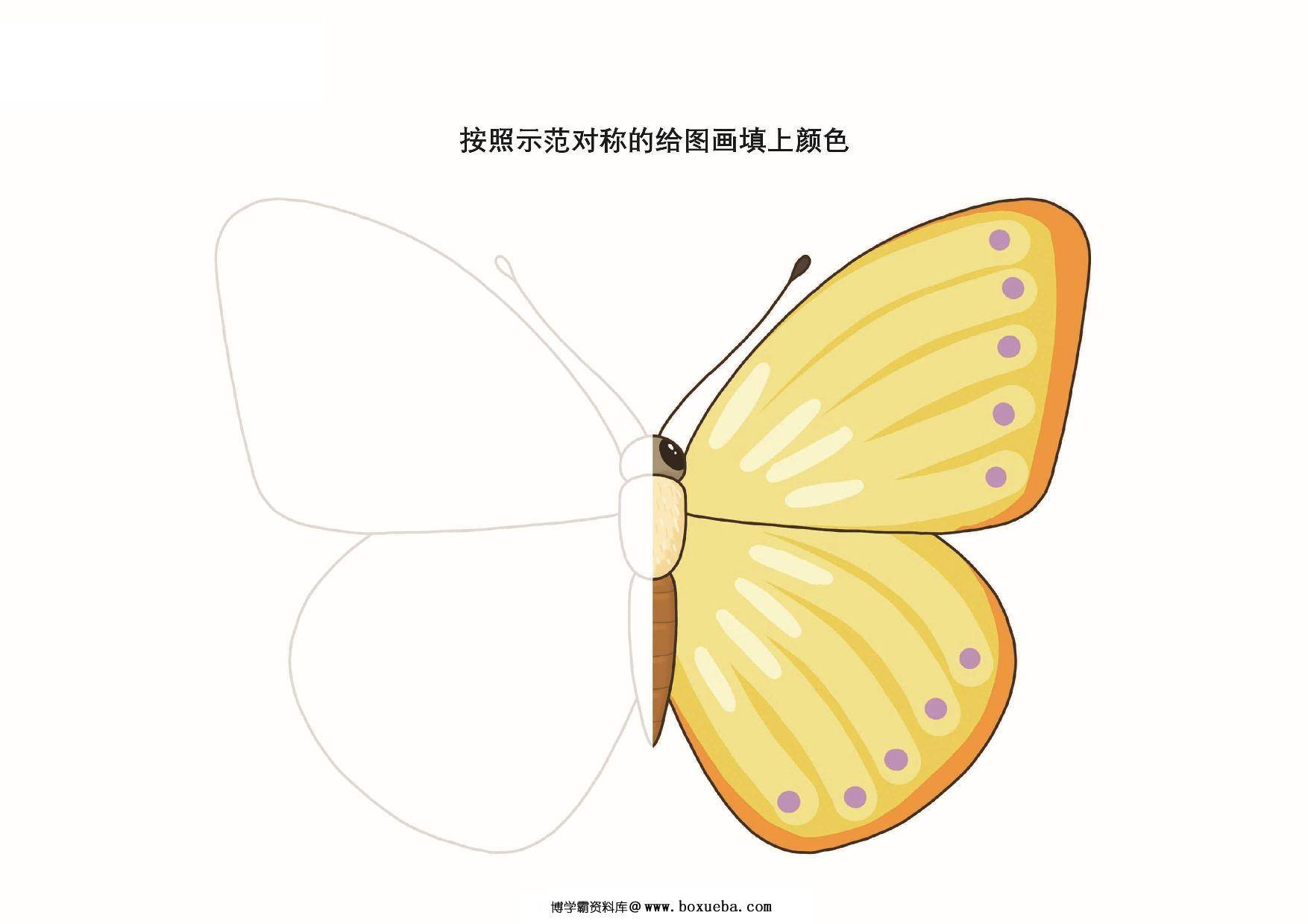 图片[4]-按照图画的轮廓绘制并填色_2，11页PDF-淘学学资料库