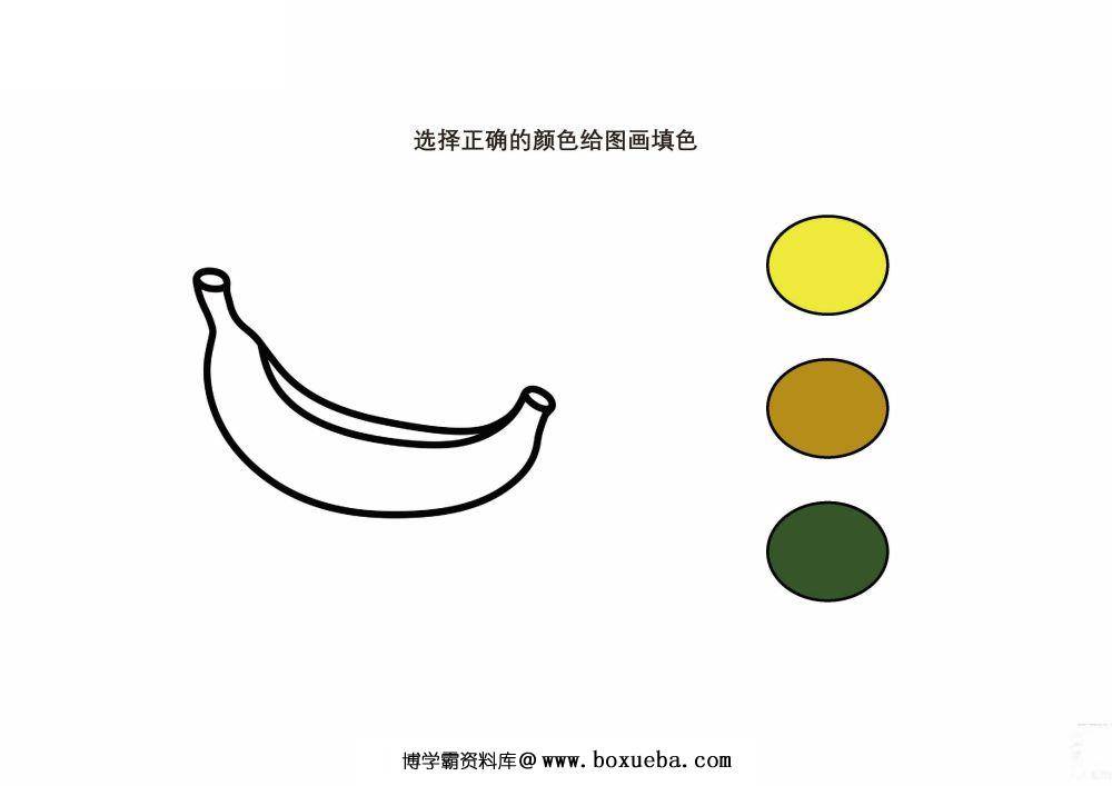 选择正确的颜色给图画填色-博学霸资料网