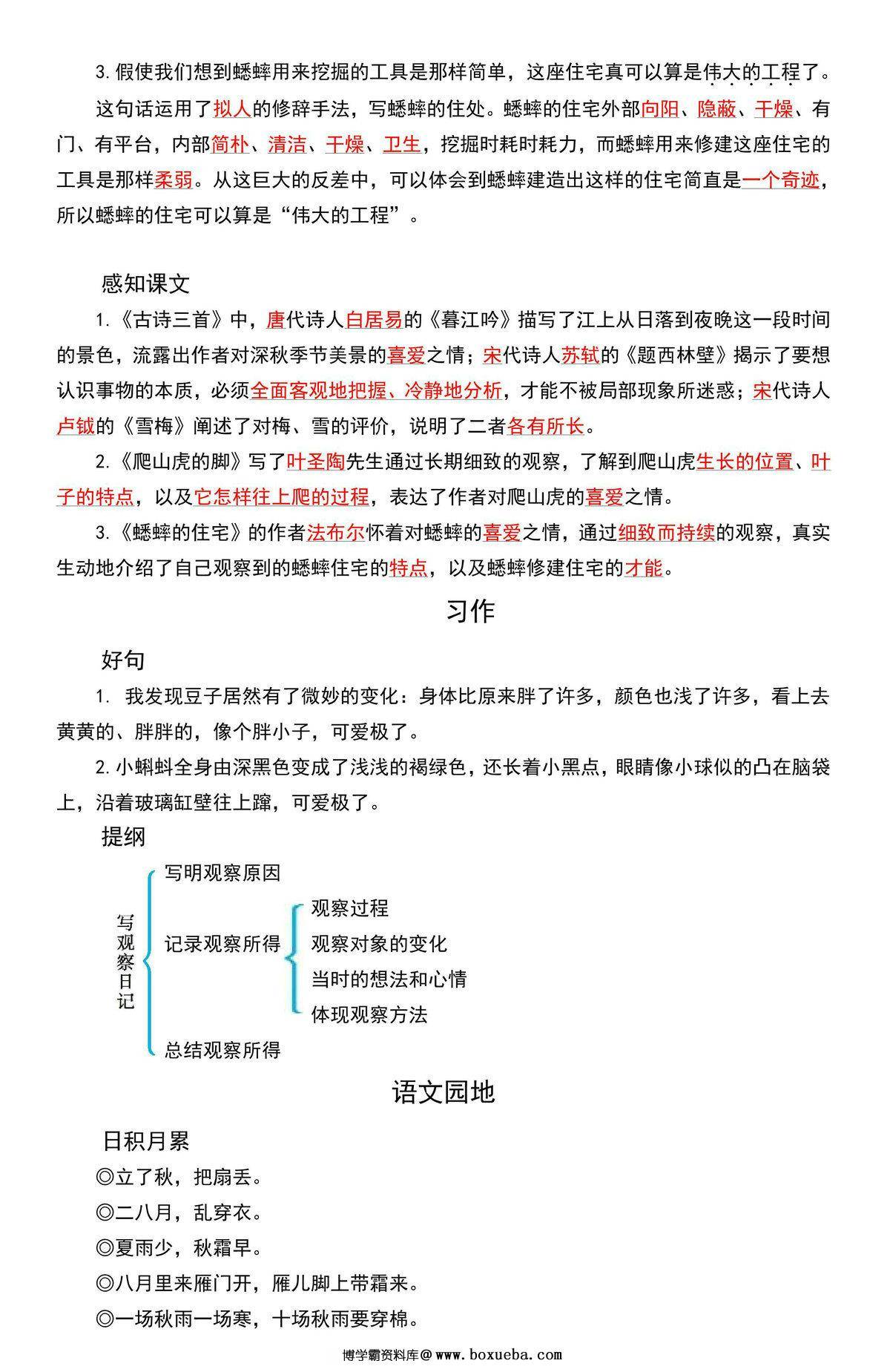 图片[3]-四年级语文上册期中复习知识点汇总，12页PDF可打印-淘学学资料库