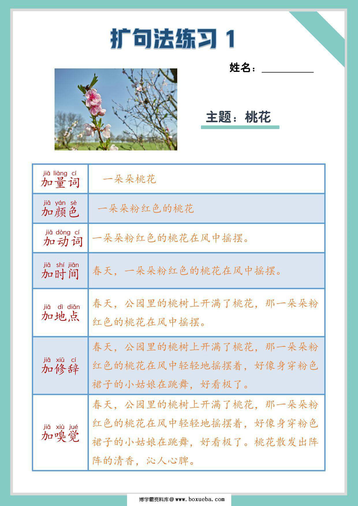 三年级上册语文扩句写作练习，20页PDF可打印-博学霸资料网