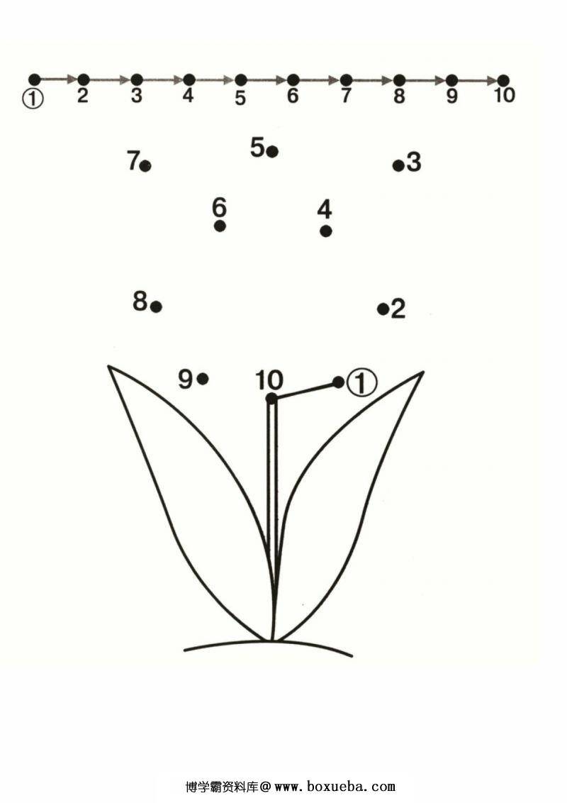 图片[3]-数字1-10连线与填色二，PDF可打印-淘学学资料库