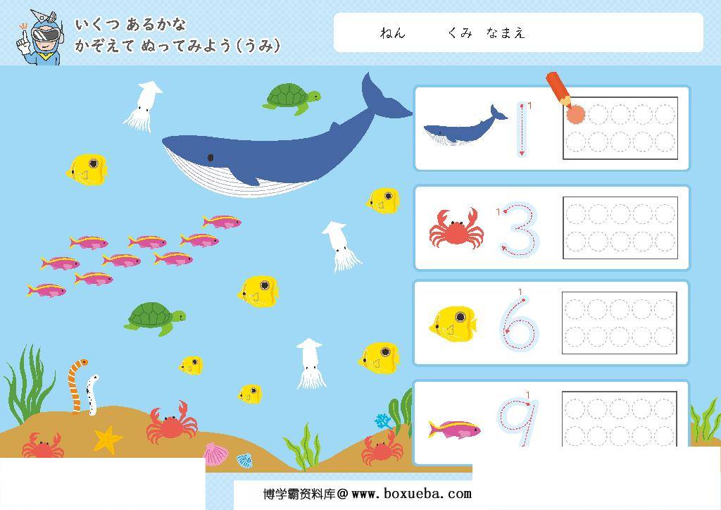 图片[5]-识数计数1-10数字的多少，数感的培养电子版PDF打印,百度网盘下载-淘学学资料库