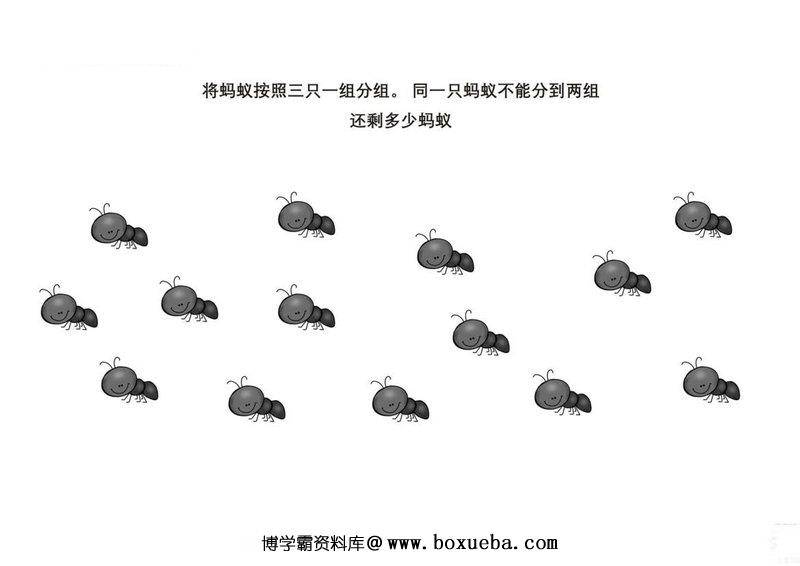 按照要求给图画中的动物分组-博学霸资料网