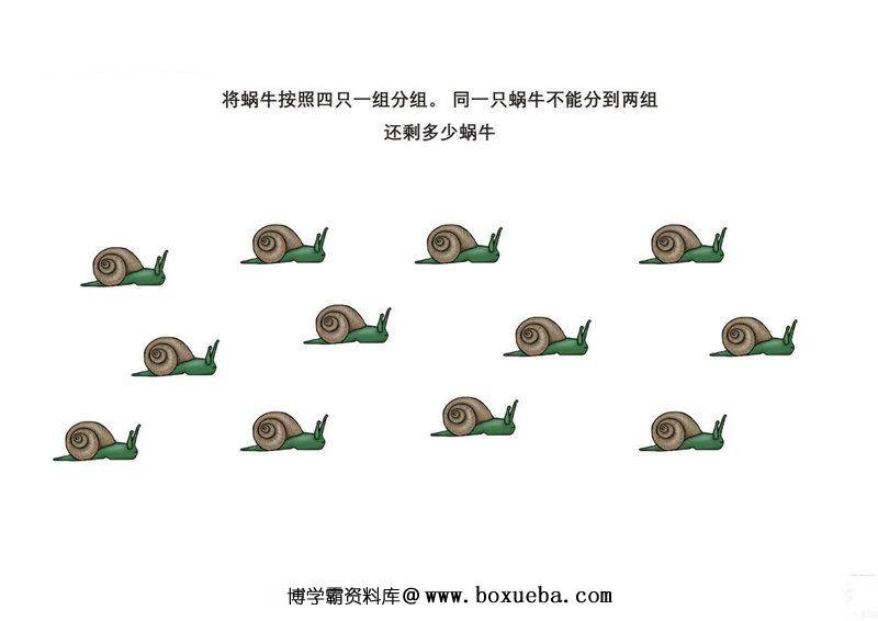 图片[2]-按照要求给图画中的动物分组-淘学学资料库