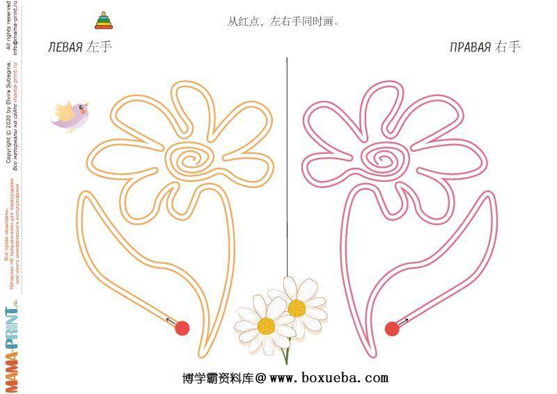 图片[3]-左右手对称练习，控笔训练有助于左右脑开发，素材可打印-淘学学资料库