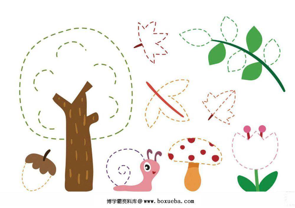 图形曲线绘制练习图集-博学霸资料网