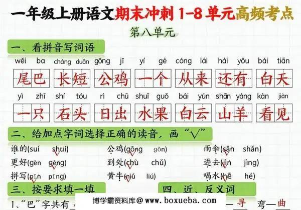 图片[5]-一年级语文上册期末冲刺1-8单元高频考点，16页PDF电子版-淘学学资料库