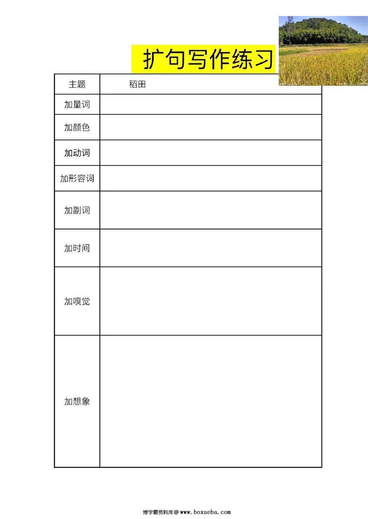 图片[2]-一年级下册语文扩句看图写话练习题21套 22页PDF-淘学学资料库