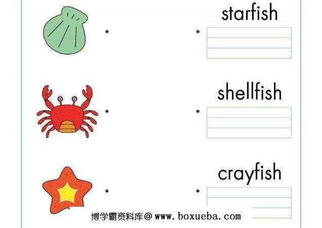 图片[2]-单词游戏卡-连线，幼儿英语启蒙电子版PDF打印，百度网盘下载-淘学学资料库