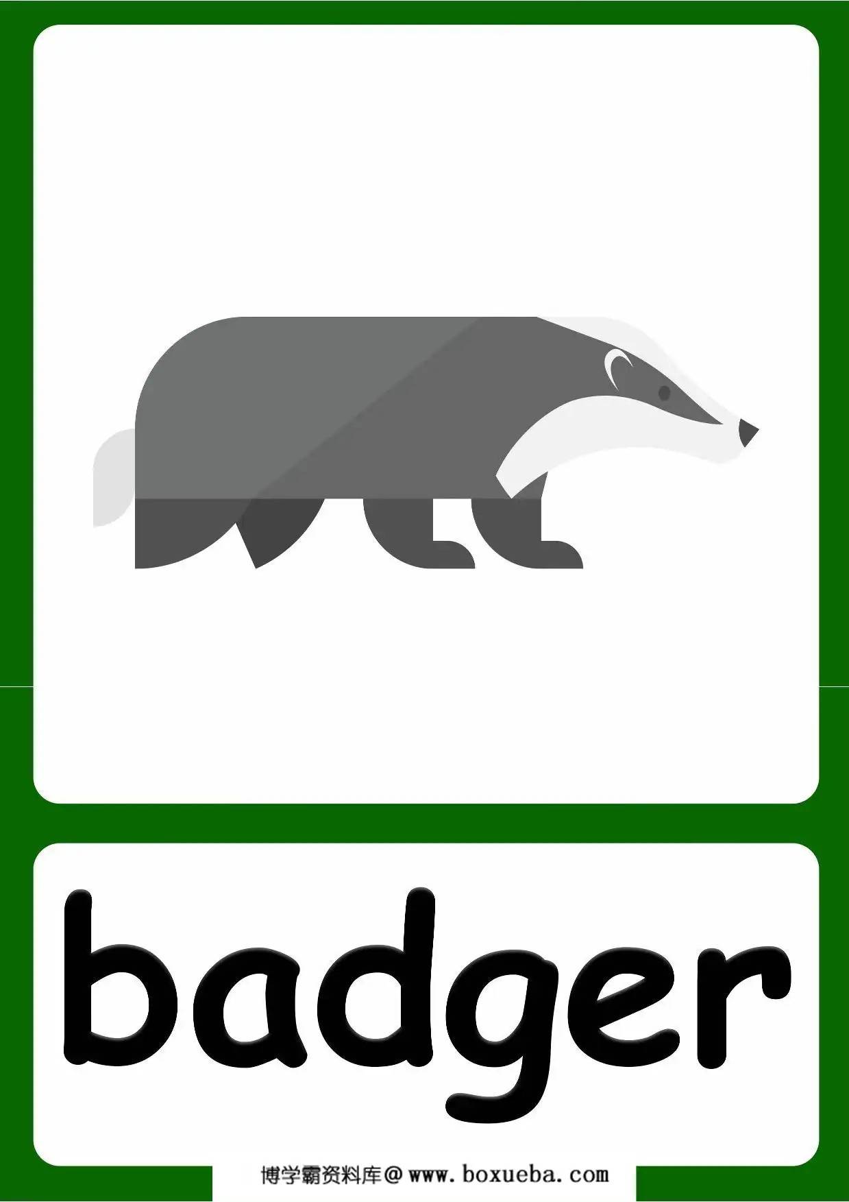 Forests animal flashcards，20页PDF电子版-博学霸资料网