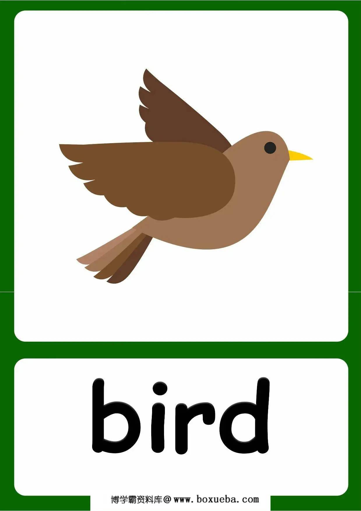 图片[2]-Forests animal flashcards，20页PDF电子版-淘学学资料库