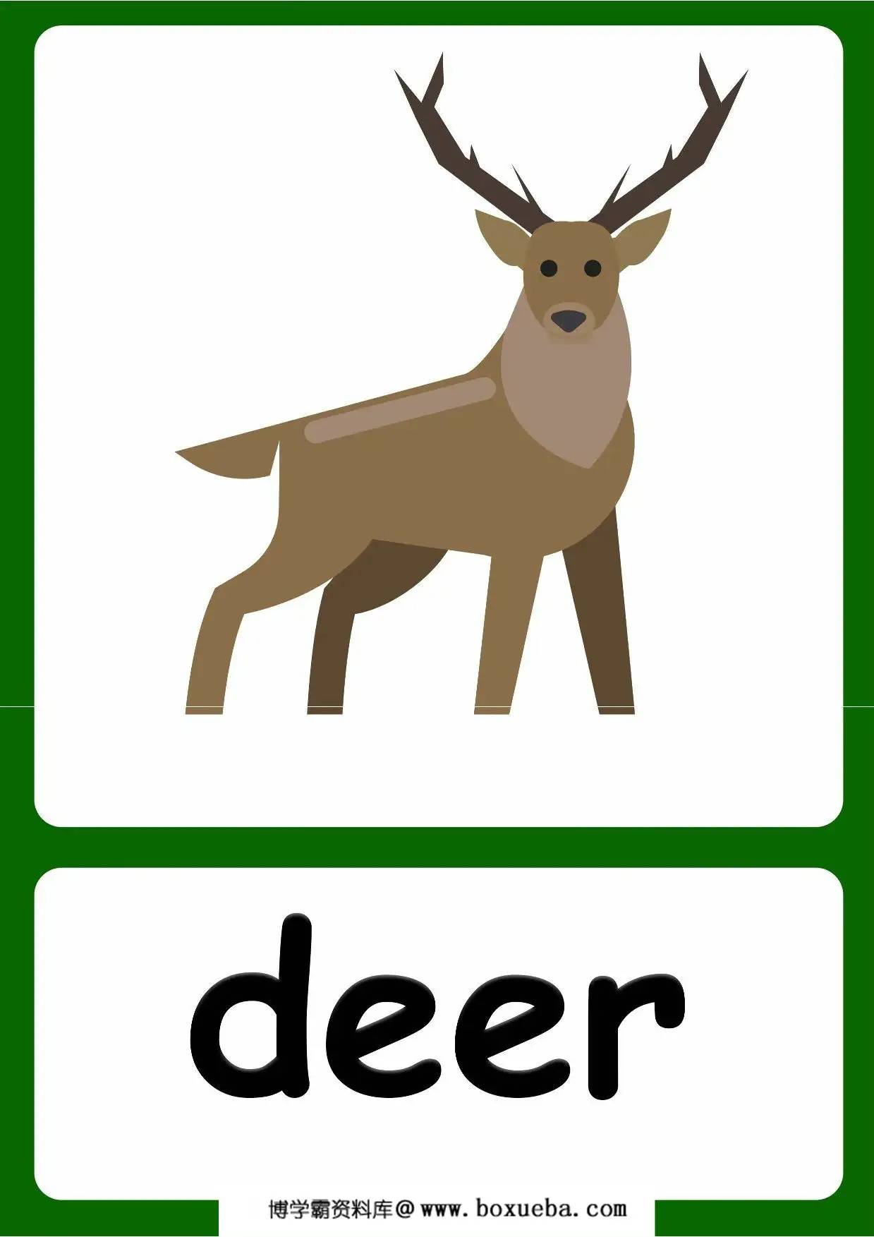 图片[3]-Forests animal flashcards，20页PDF电子版-淘学学资料库