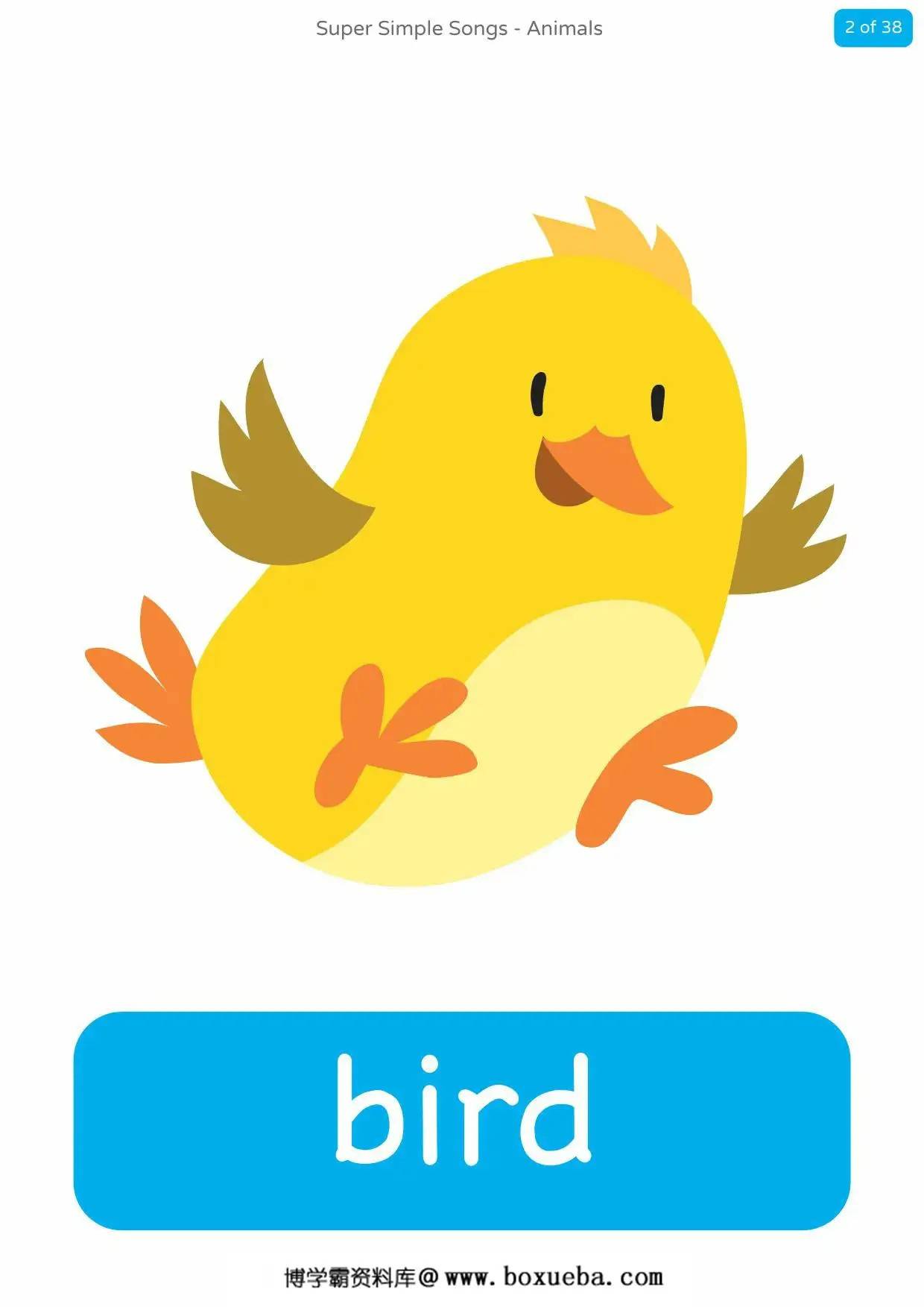 图片[2]-sss-animals-complete-flashcards，38页PDF可打印-淘学学资料库