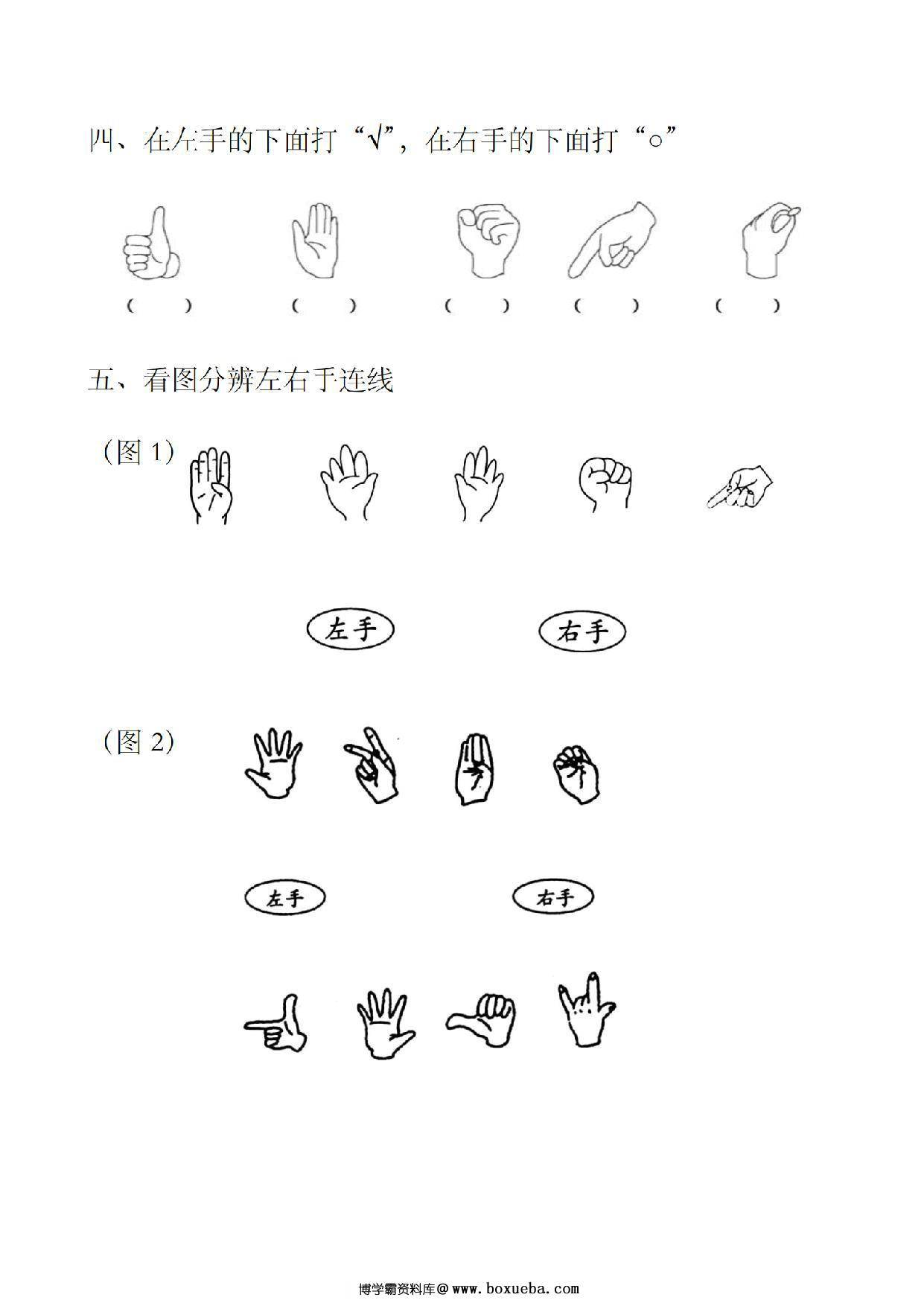 图片[2]-—年级上册数学位置左右手区分练习，2页PDF电子版-淘学学资料库