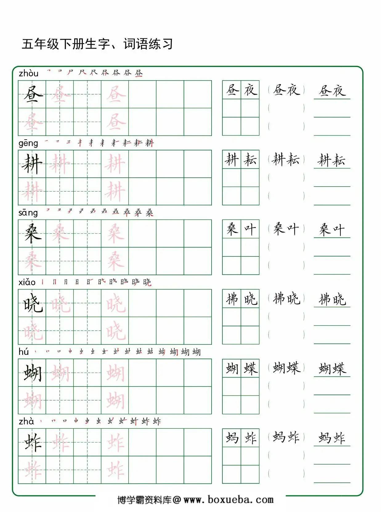 五年级下册语文生字词语练字，30页PDF电子版-博学霸资料网