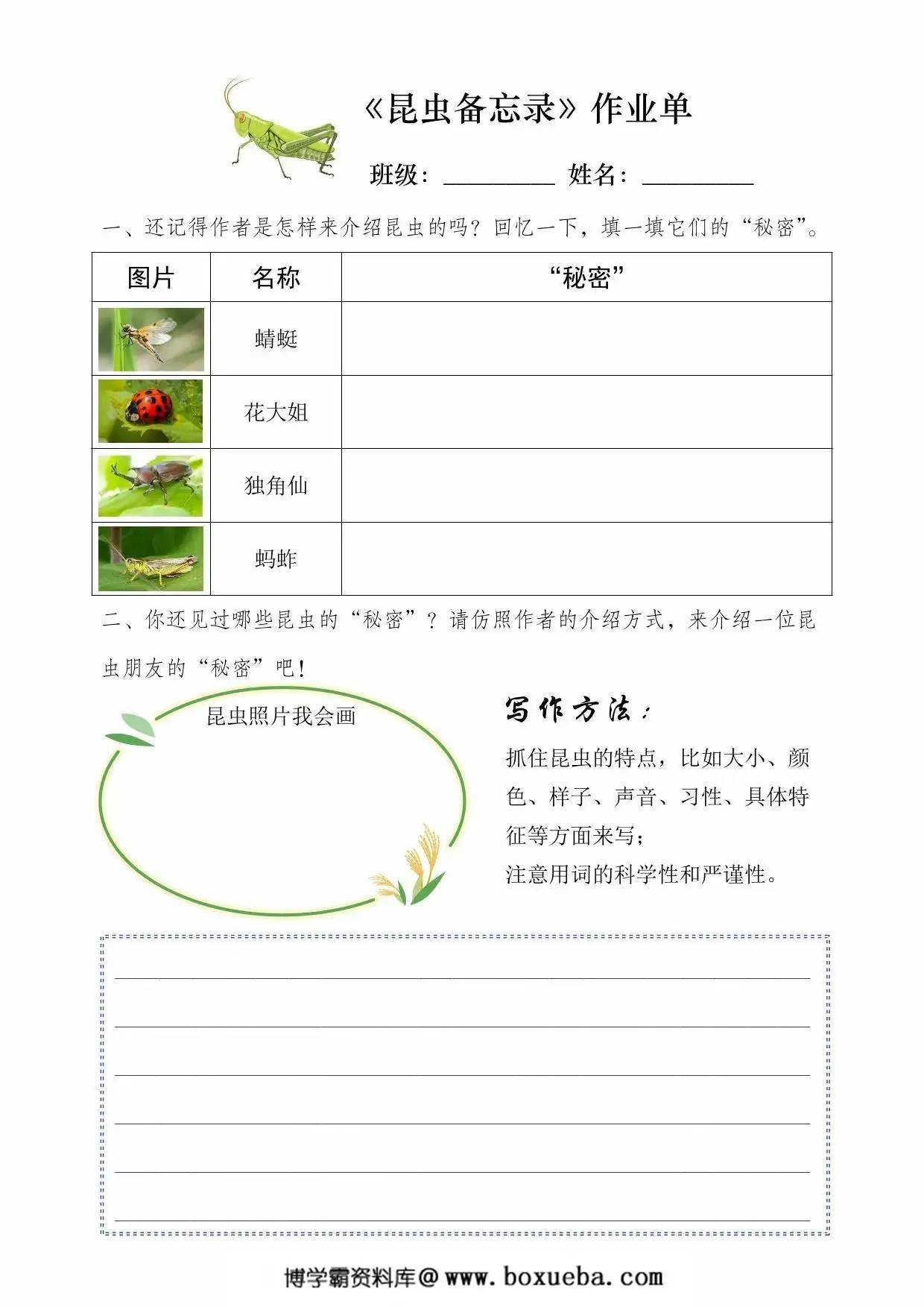 图片[3]-三年级下册语文每课作业单小练笔，20页PDF电子版-淘学学资料库