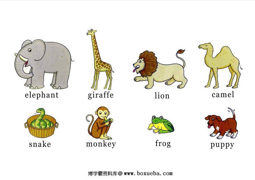 图片[3]-《Dear Zoo》绘本拓展系列，绘本游戏PDF可打印-淘学学资料库