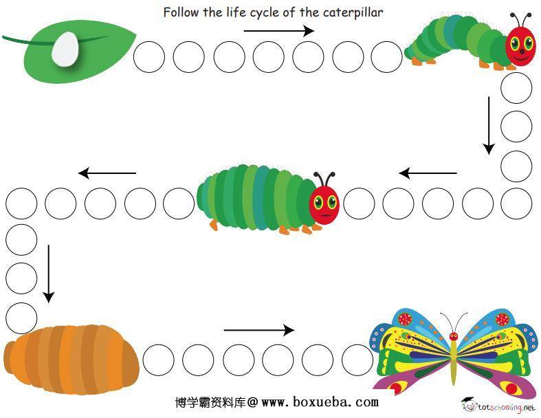 《好饿的毛毛虫》绘本拓展系列，PDF可打印-博学霸资料网